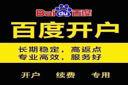 百度推广在体育行业中的营销策略与效果